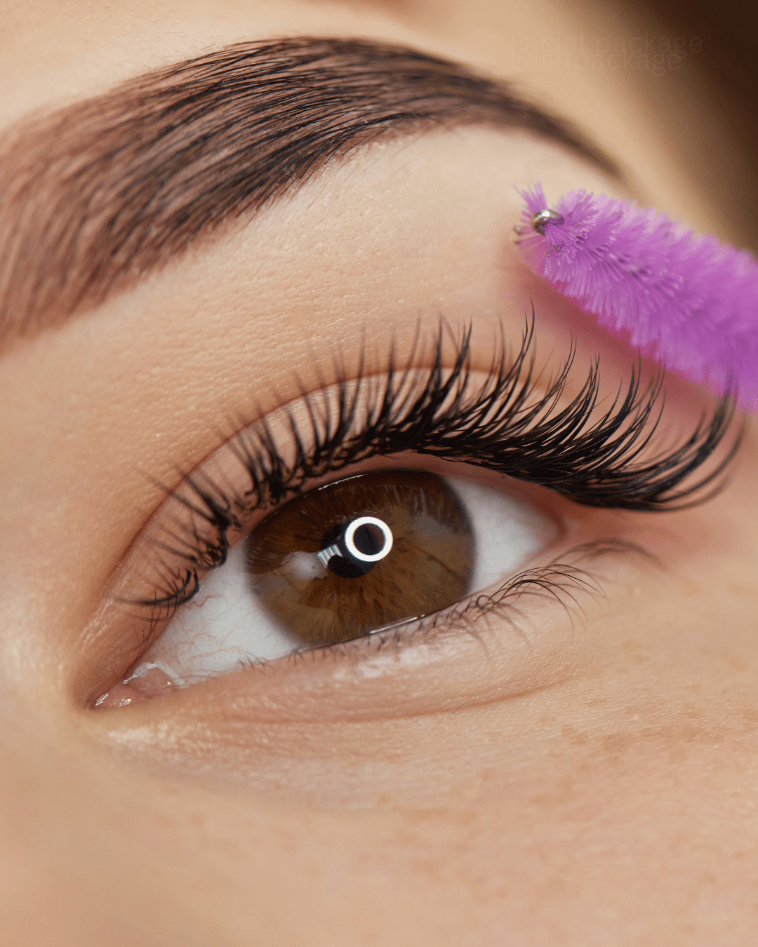 The Lash & Brow Ultimate Package